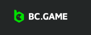 Exploring the Innovative World of Bc.Game Platform