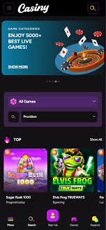 Discover the Exciting World of Online Gaming with Casiny1